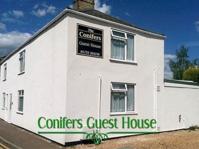 Conifers Guest House